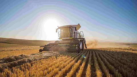 Wide angle view of a combine harvester harvesting wheat on a whe