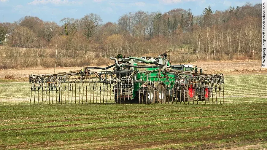 Ein Traktor bring Gülle auf das Feld aus. Der Trecker ist groß und verbringt per Schleppschlauch Gülle auf das Feld. Auf dem Feld sprießen kurze grüne Pflanzen und im Hintergrund stehen Bäume. 