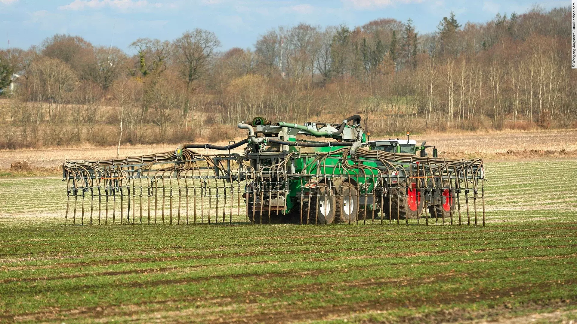 Ein Traktor bring Gülle auf das Feld aus. Der Trecker ist groß und verbringt per Schleppschlauch Gülle auf das Feld. Auf dem Feld sprießen kurze grüne Pflanzen und im Hintergrund stehen Bäume. 