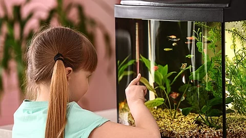 Cute little girl looking at fish in aquarium