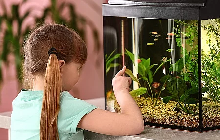 Cute little girl looking at fish in aquarium