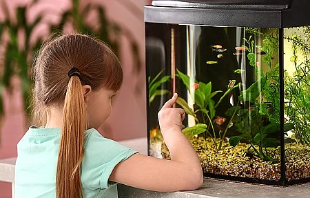 Cute little girl looking at fish in aquarium