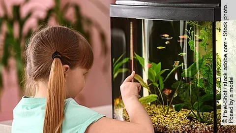 Cute little girl looking at fish in aquarium