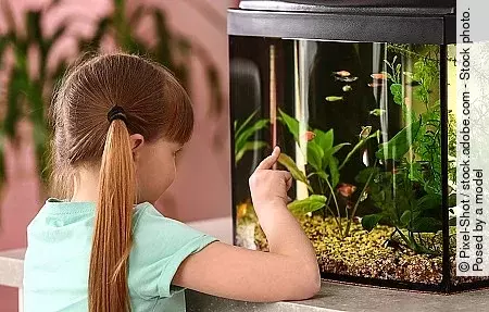 Cute little girl looking at fish in aquarium