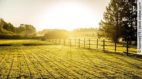 Aufnahme von einem Sonnenaufgang über einer nebligen Wiese. Die Weise ist mit einem Holzzaun umrandet. Im Hintergrund stehen Laubbäume.