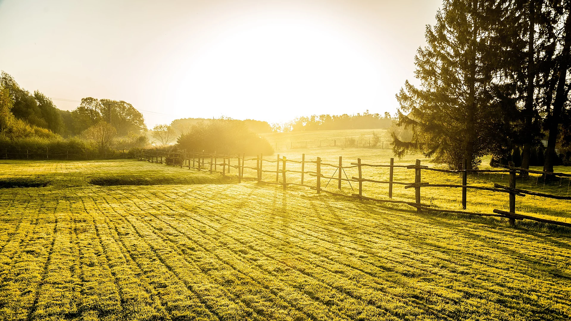 Aufnahme von einem Sonnenaufgang über einer nebligen Wiese. Die Weise ist mit einem Holzzaun umrandet. Im Hintergrund stehen Laubbäume.
