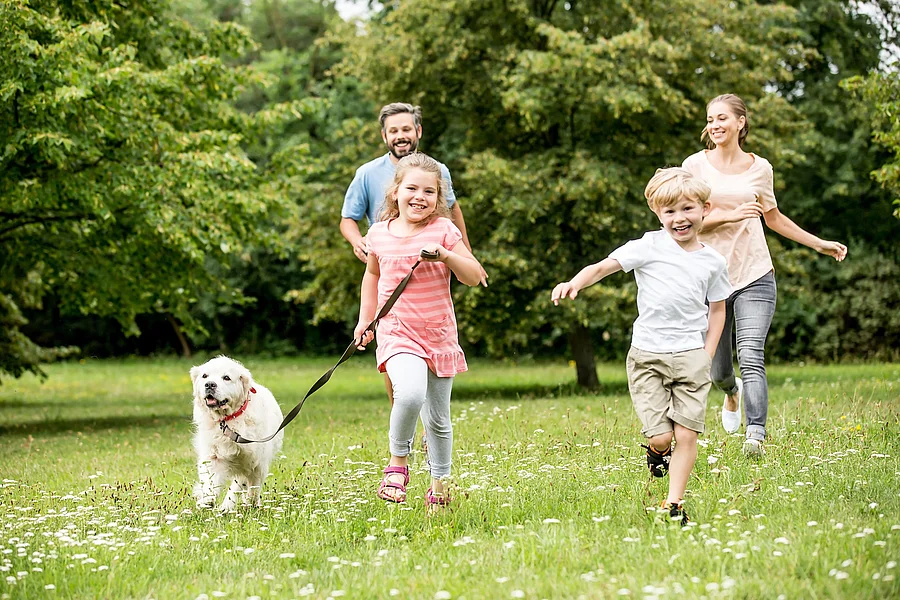 Familie mit Retriever läuft glücklich über eine Wiese