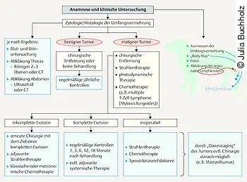Diagnostisches und therapeutisches Vorgehen 