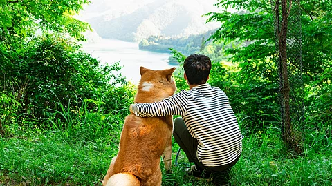 Ein Junge und ein Hund sitzen an einer Lichtung im Wald. 