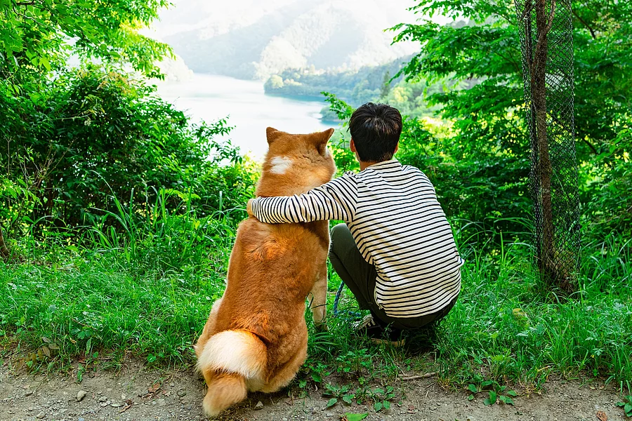 Ein Junge und ein Hund sitzen an einer Lichtung im Wald. 
