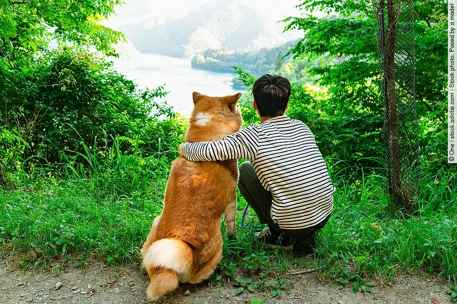 Ein Junge und ein Hund sitzen an einer Lichtung im Wald. 