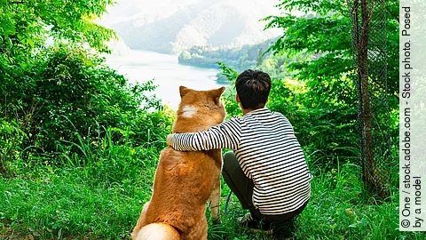 Ein Junge und ein Hund sitzen an einer Lichtung im Wald. 