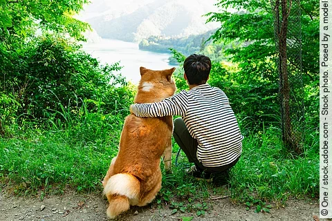 Ein Junge und ein Hund sitzen an einer Lichtung im Wald. 