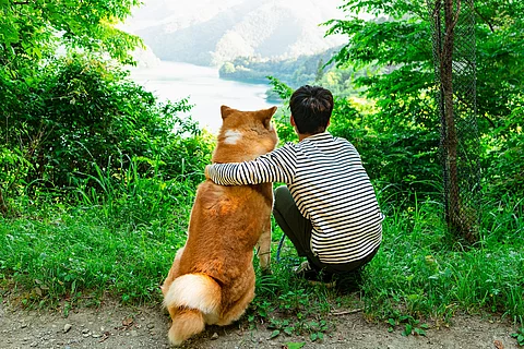Ein Junge und ein Hund sitzen an einer Lichtung im Wald. 