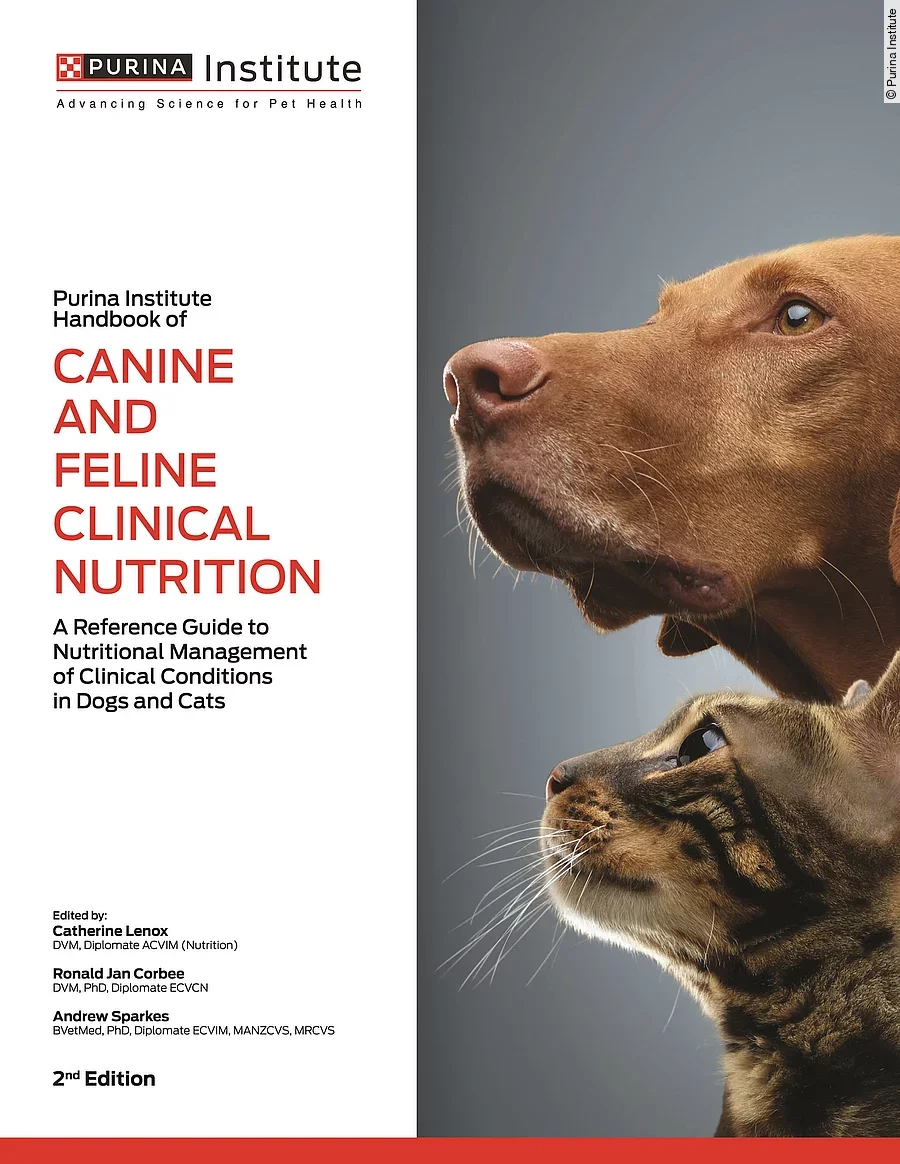 Cover des neuen Buchs