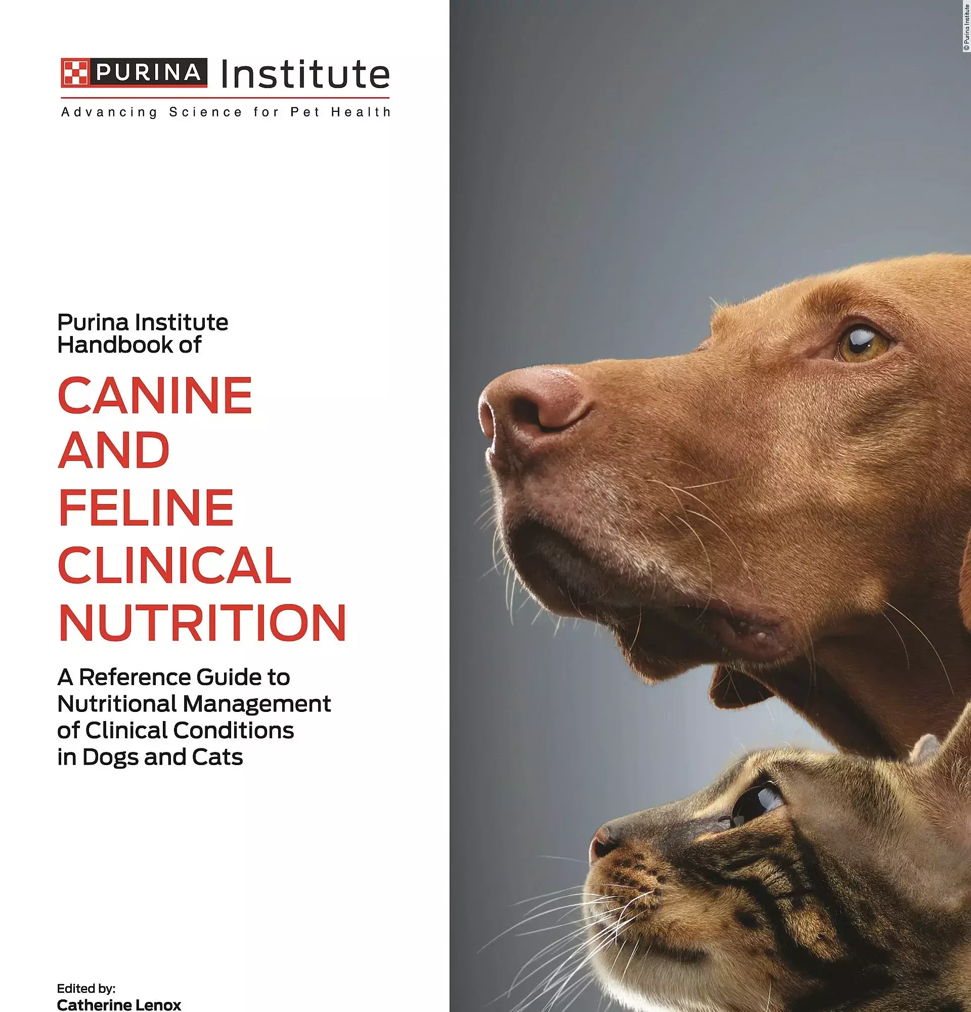 Cover des neuen Buchs