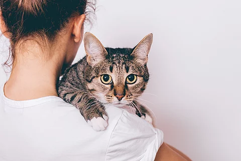 Frau mit Katze