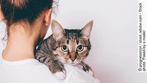 Frau mit Katze Frau mit Katze