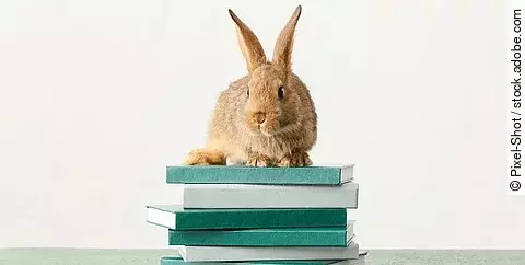 Kaninchen auf Büchern