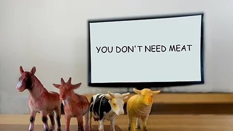 Support vegetarianism. Joke.