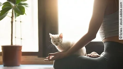 Young yogi woman meditating with cat pet, home interior backgrou