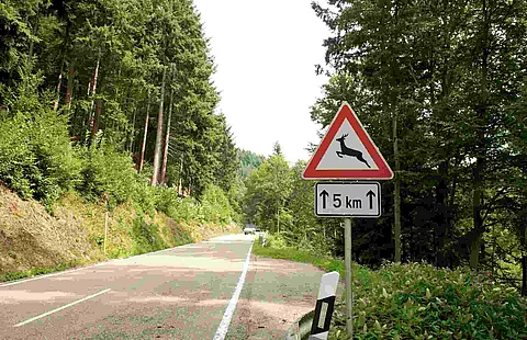 Achtung Wildwechsel 