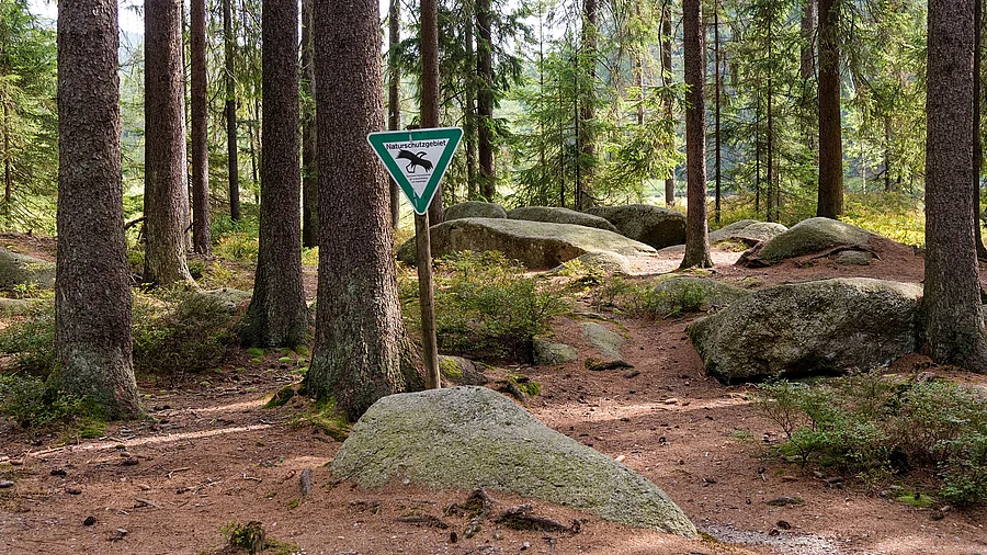 Bild Naturschutzgebiet im Wald