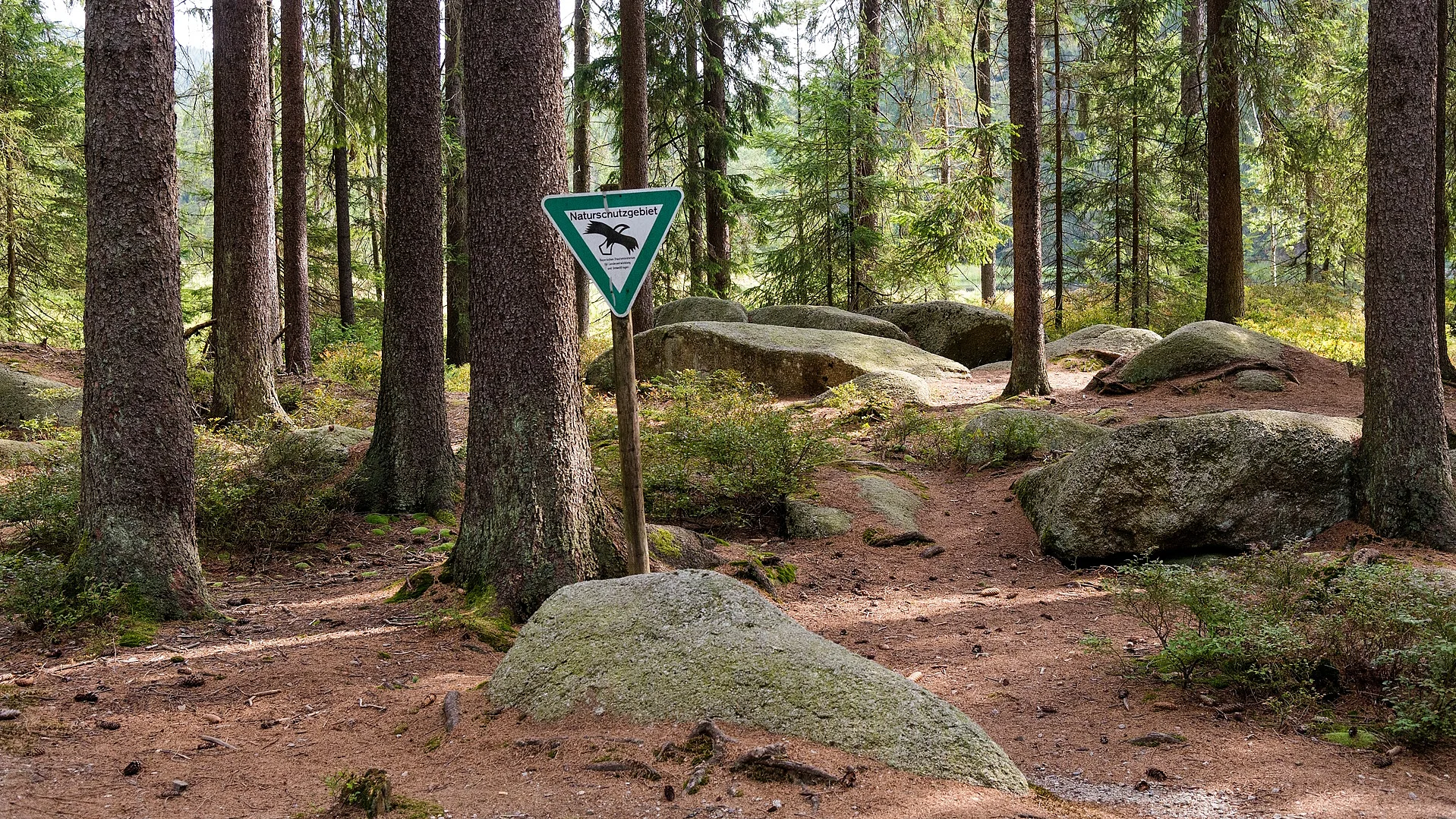 Bild Naturschutzgebiet im Wald