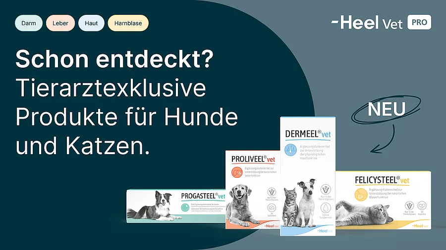 Packshots für Heel-Produkte vor einem dunklen Hintergrund mit dem Text: Tierarztexklusive Produkte für Hunde und Katzen.