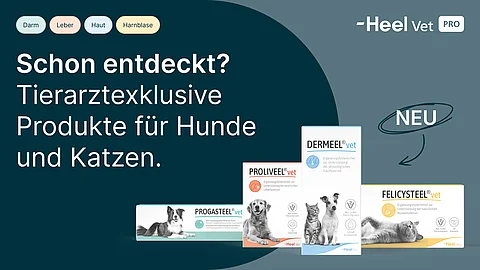 Packshots für Heel-Produkte vor einem dunklen Hintergrund mit dem Text: Tierarztexklusive Produkte für Hunde und Katzen.