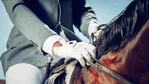 Close up of a male hand in white glove