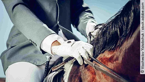 Close up of a male hand in white glove
