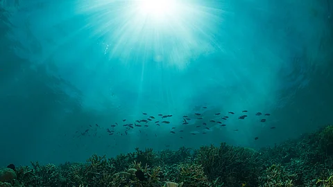 Sonnenstrahlen unter Wasser in einem Riff