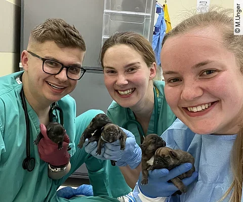 Merle und ihre Freunde halten glücklich Hundewelpen nach einem Kaiserschnitt in der Hand.