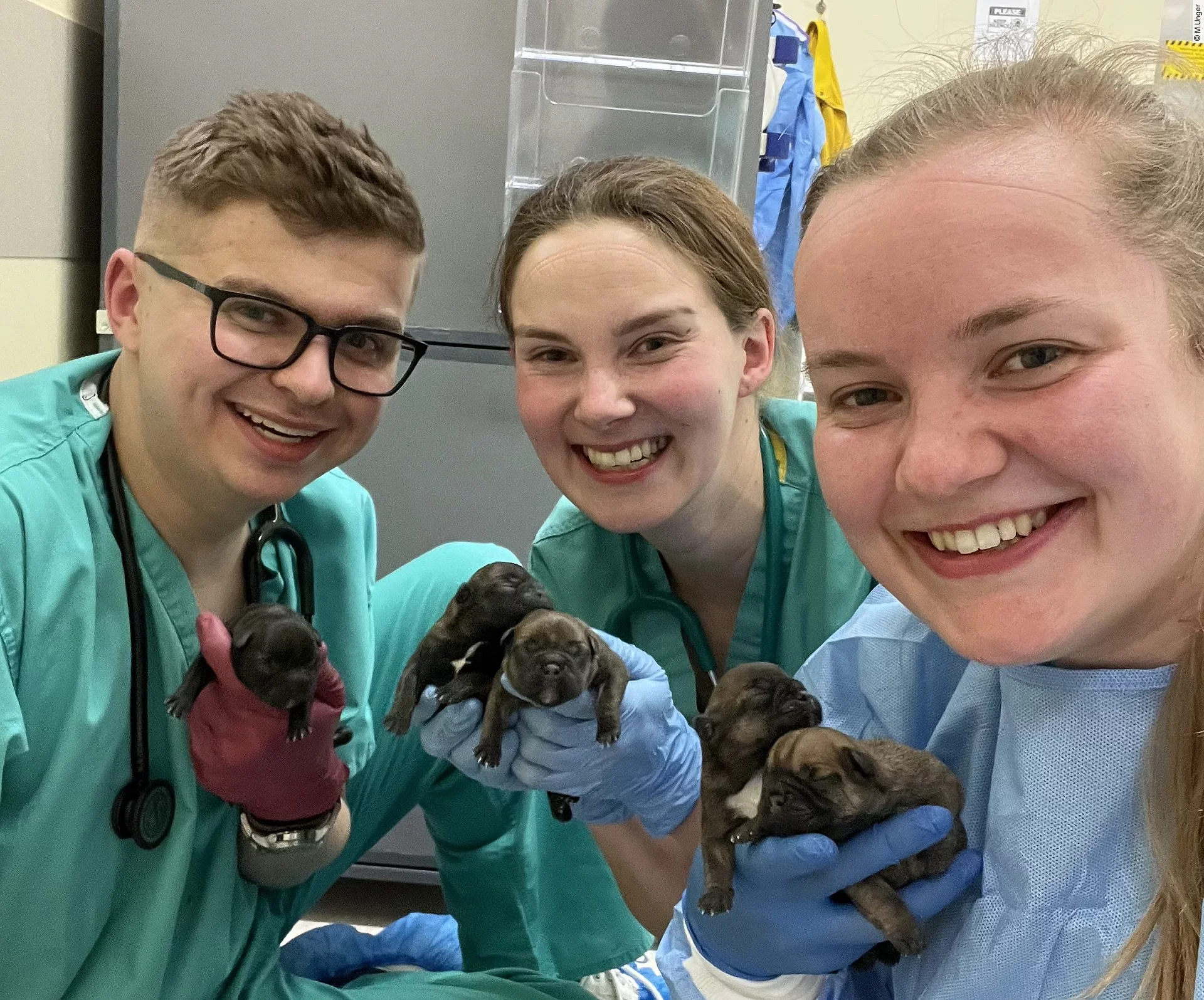 Merle und ihre Freunde halten glücklich Hundewelpen nach einem Kaiserschnitt in der Hand.