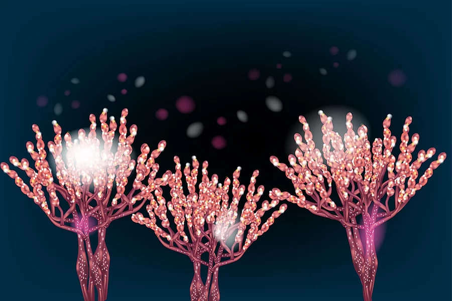 Penicillium