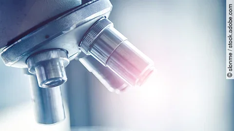 Nahaufnahme von einem Mikroskop.