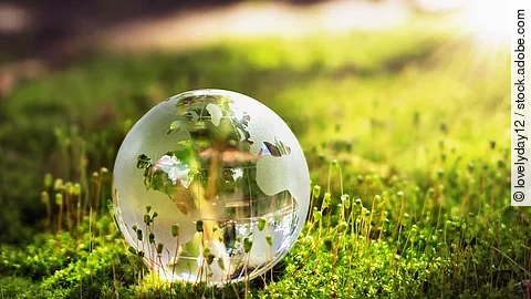 globe glass on grass with sunshine. environment concept