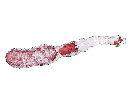 3d rendered medically accurate illustration of an echinococcus g