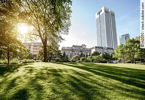 Blick auf einen grünen Park in Frankfurt. Die Sonne strahlt durch die Bäume hindurch auf den Rasen und wirft Schatten. Im Hinderung sind die Gebäude der Stadt zu erkennen. Ein Wolkenkratzer ragt in den blauen Himmel.  