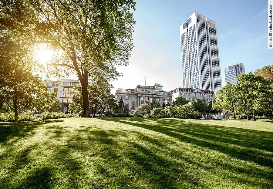 Blick auf einen grünen Park in Frankfurt. Die Sonne strahlt durch die Bäume hindurch auf den Rasen und wirft Schatten. Im Hinderung sind die Gebäude der Stadt zu erkennen. Ein Wolkenkratzer ragt in den blauen Himmel.  