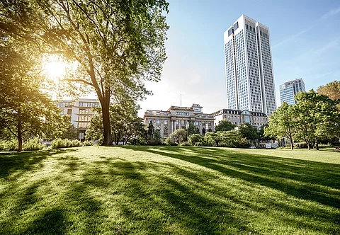 Park in Frankfurt Blick auf einen grünen Park in Frankfurt. Die Sonne strahlt durch die Bäume hindurch auf den Rasen und wirft Schatten. Im Hinderung sind die Gebäude der Stadt zu erkennen. Ein Wolkenkratzer ragt in den blauen Himmel.