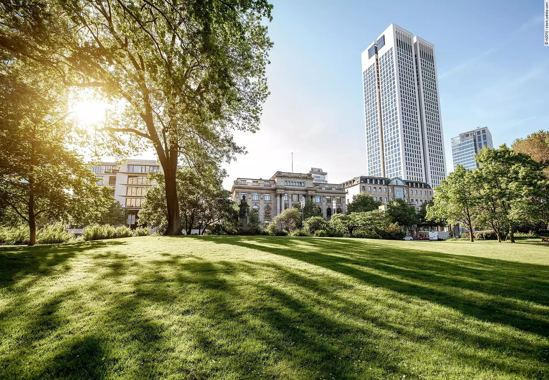 Park in Frankfurt Blick auf einen grünen Park in Frankfurt. Die Sonne strahlt durch die Bäume hindurch auf den Rasen und wirft Schatten. Im Hinderung sind die Gebäude der Stadt zu erkennen. Ein Wolkenkratzer ragt in den blauen Himmel.