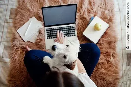 Young woman with pet works, studies at laptop at home. Working f