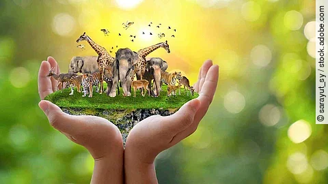 Concept Nature reserve conserve Wildlife reserve tiger Deer Glob