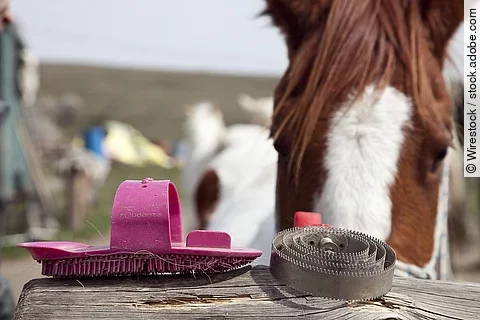 Auf einem Holzstamm liegen zwei Pferdebürsten, dahinter steht ein Pferd.