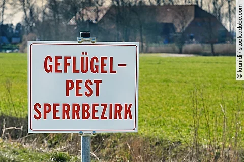 Bild von einem Warnschild. In roter Schrift steht auf dem weißen Schild: "GEFLÜGELPEST SPERRBERZIRK". IM Hintergrund ist ein Feld und ein landwirtschaftlicher Hof hinter Bäumen erkennbar. 