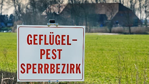 Bild von einem Warnschild. In roter Schrift steht auf dem weißen Schild: "GEFLÜGELPEST SPERRBERZIRK". IM Hintergrund ist ein Feld und ein landwirtschaftlicher Hof hinter Bäumen erkennbar. 