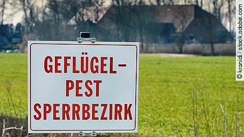 Bild von einem Warnschild. In roter Schrift steht auf dem weißen Schild: "GEFLÜGELPEST SPERRBERZIRK". IM Hintergrund ist ein Feld und ein landwirtschaftlicher Hof hinter Bäumen erkennbar. 