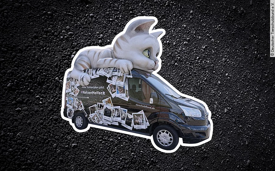 Das Catmobil ist vor einem schwarzen Hintergrund abgebildet. Auf dem Fahrzeug liegt eine große Katze und auf Auto sind Bilder von Katzen in Polaroidoptik abgebildet. 